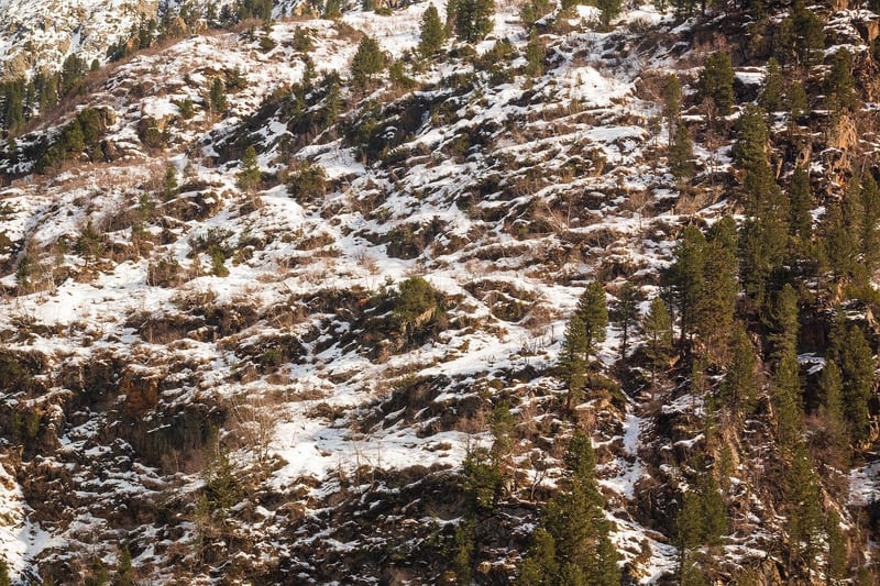 Mountainous Terrain